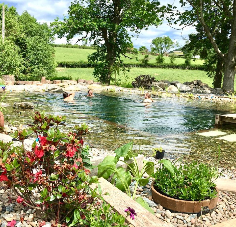 Mid-Wales Farmhouse, Swimming Pool, Tranquil Countryside Views, Sleeps 14 Meifod Екстер'єр фото
